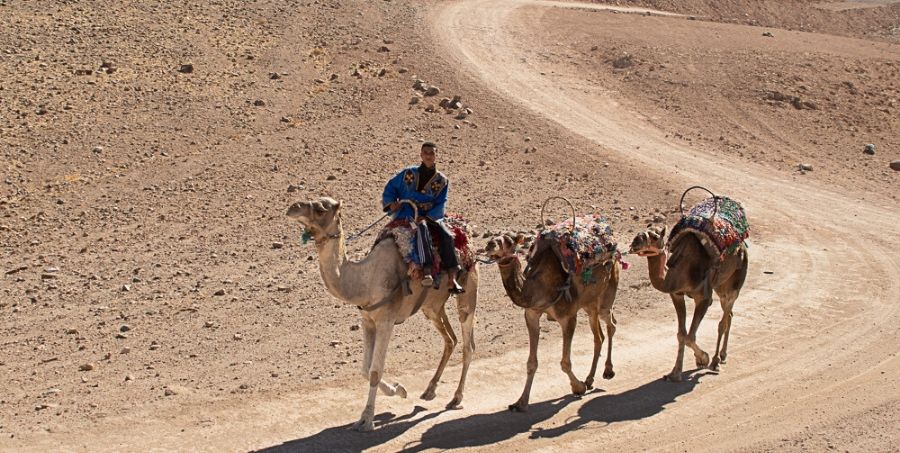 Camel Ride in Morocco TD active Holiday